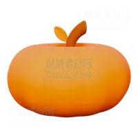 南瓜 Pumpkin