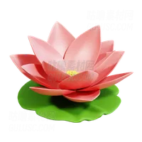 莲花 Lotus Flower