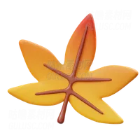 甜胶叶 Sweetgum Leaf