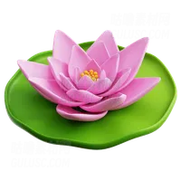 莲花 Lotus Flower