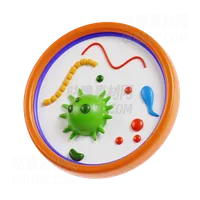 微生物学 Microbiology