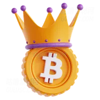 比特币之王 Bitcoin King