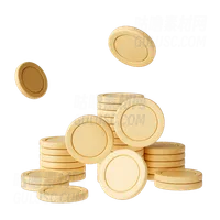 货币硬币 Money Coins