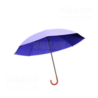 雨伞 Umbrella