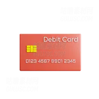 借记卡 Debit Card