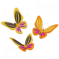 蝴蝶 Butterfly