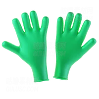 卫生手套 Sanitary Gloves