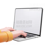 在笔记本电脑上打字 Typing on laptop