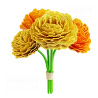 万寿菊花 Marigold Flower