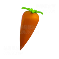 胡萝卜 Carrot