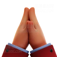 祈祷之手 Praying Hand