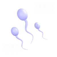 精子 Sperm