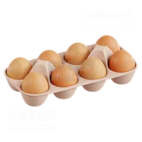 鸡蛋托盘 Egg Tray