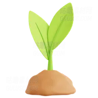 发芽 Sprout