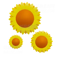 太阳花 Sun Flowers