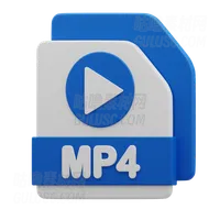 MP4文件 MP4 File