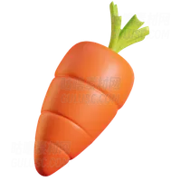 胡萝卜 Carrot