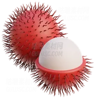 红毛丹 Rambutan