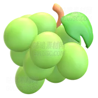 绿色葡萄 Green Grape