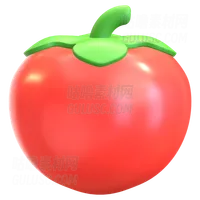 番茄 Tomato