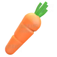 胡萝卜 Carrot