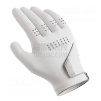 高尔夫手套 Golf Glove