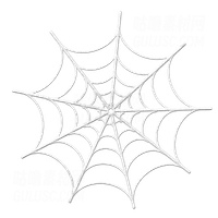 蜘蛛网 Spiderweb