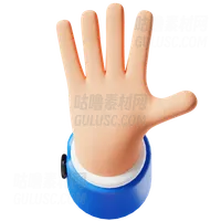 停止手势 Stop Hand Gesture