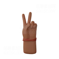 胜利标志 Victory sign