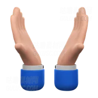 辩诉手手势 Plea Hands Gesture