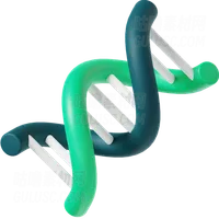 DNA DNA