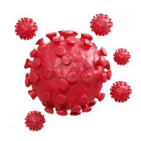 冠状病毒 Coronavirus