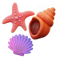 扇贝蜗牛和星星鱼 Scallop Snail And Star Fish