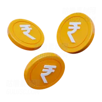 卢比硬币 Rupee Coins