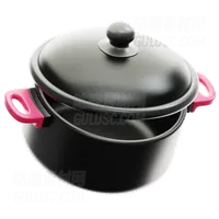 烹饪锅 Cooking Pot