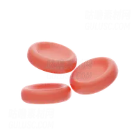 血细胞 Blood Cells