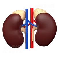 泌尿外科 Urology