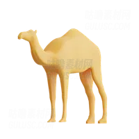 骆驼 Camel