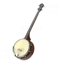 班卓琴 Banjo