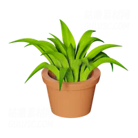 植物盆栽 Plant Pot