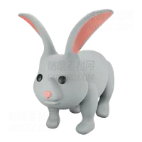 兔子 Rabbit