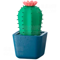 仙人掌植物 Cactus Plant