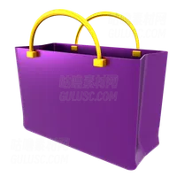 购物袋 Shopping Bag