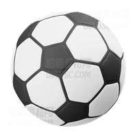 足球 Soccer Ball