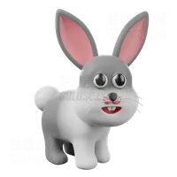 兔子 Rabbit