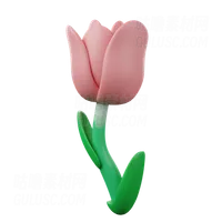 郁金香 Tulip