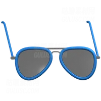 太阳镜 sunglasses