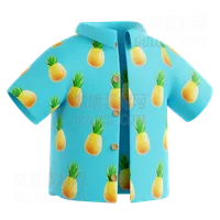 沙滩衫 Beach Shirt