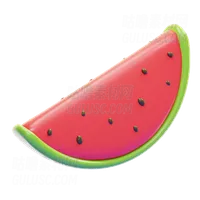 水瓜 WATER MELON