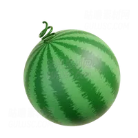 西瓜 Watermelon